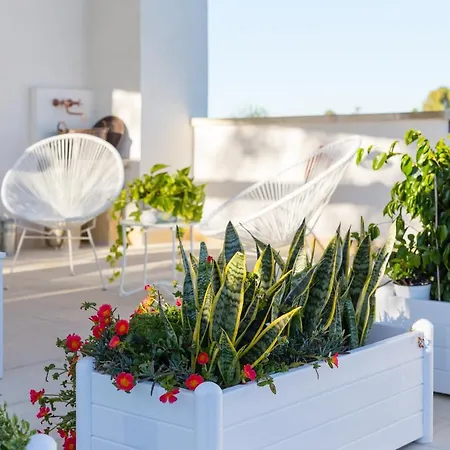 ベッド・アンド・ブレックファスト Casa Litara